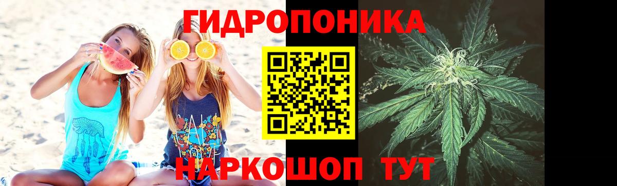 Канабис Ganja Москва